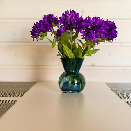 Wczasowe - Zielone Wzgorze - Comfort Lodge