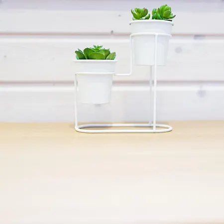 Wczasowe - Zielone Wzgorze - Comfort Mielno