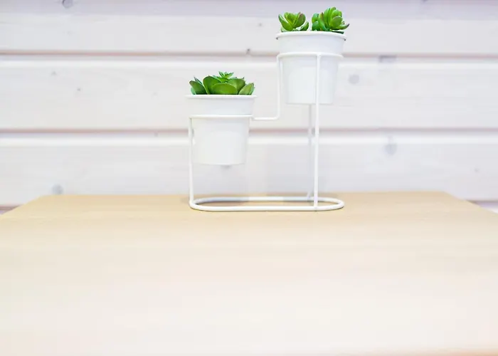 Zielone Wzgórze Mielno (Koszalin)